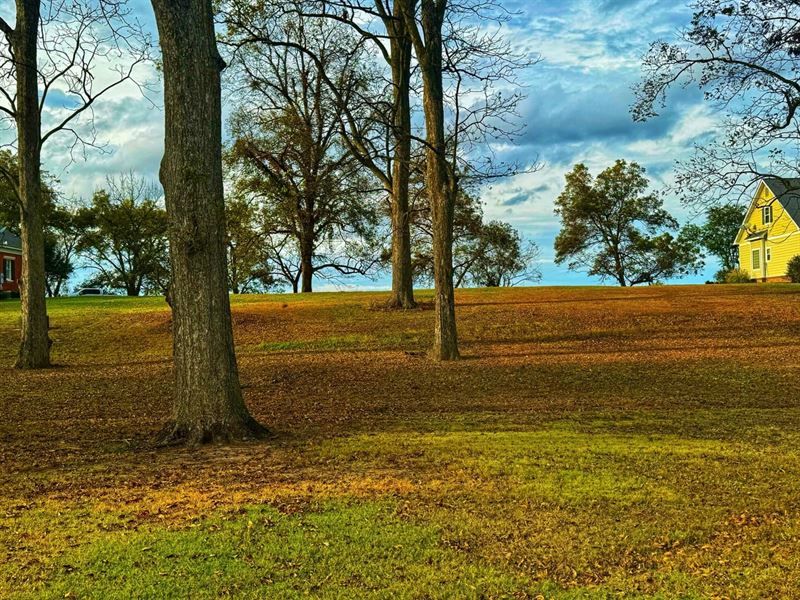 Moon Lake Lot Located in The Gated : Dundee : Coahoma County : Mississippi