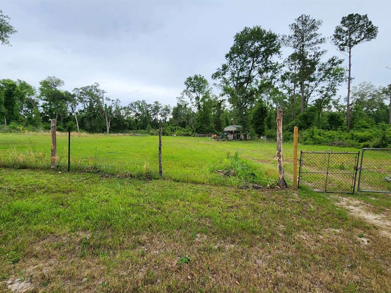Partially Cleared 4 Acres : Live Oak : Suwannee County : Florida