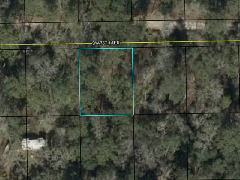 Rv/Campsite Steps From River : Jasper : Hamilton County : Florida