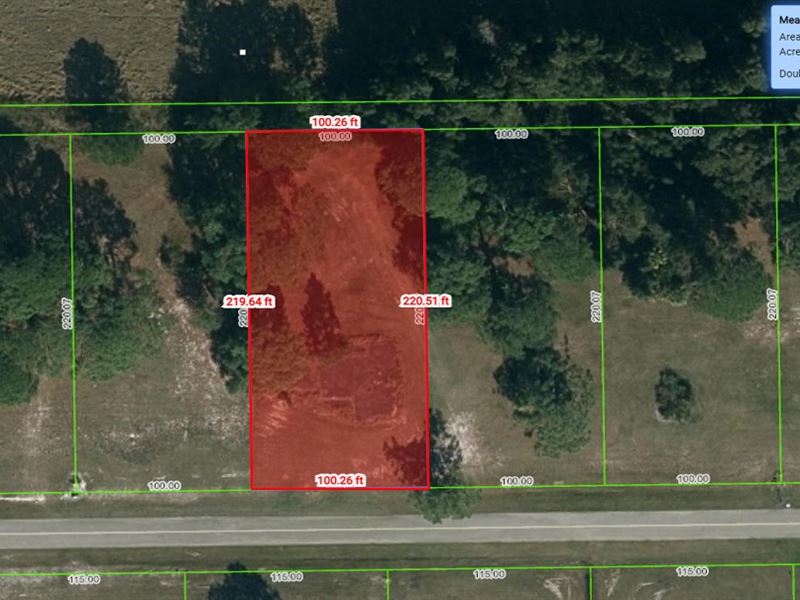 Quiet Half Acre Sebring Lot : Sebring : Highlands County : Florida