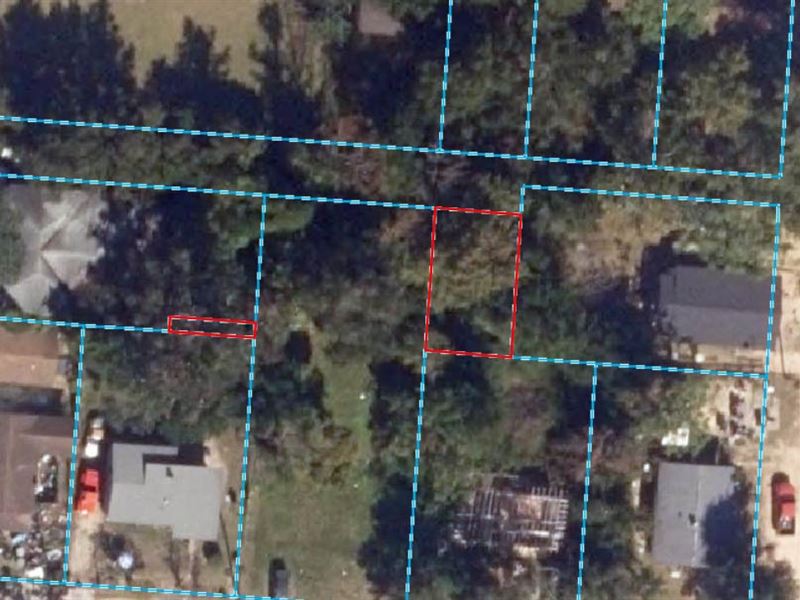 Quiet and Secluded Lot in Pensacola : Pensacola : Escambia County : Florida