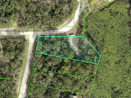 Waterfront Lot, Ridge Manor Estates : Webster : Hernando County : Florida