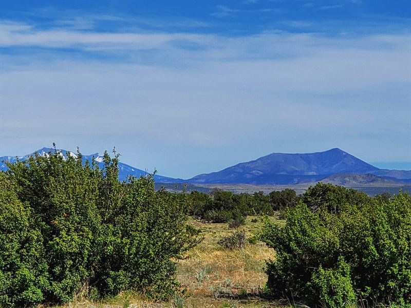 Bring RV, Mountain Views : Williams : Coconino County : Arizona