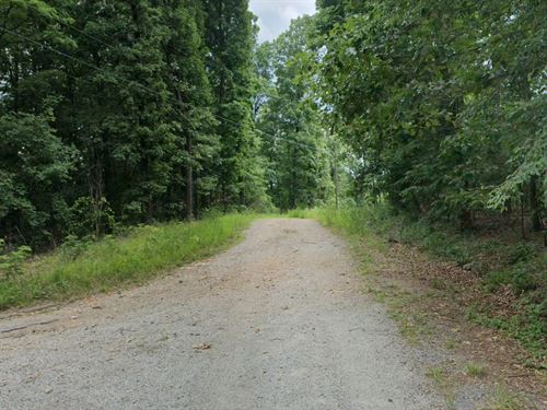 Wooded Land Close to Lakes : Williford : Sharp County : Arkansas