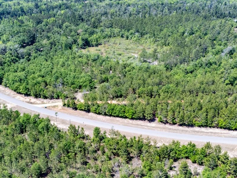 5 Ac Homesite Lot in Liberty Co : Bristol : Liberty County : Florida