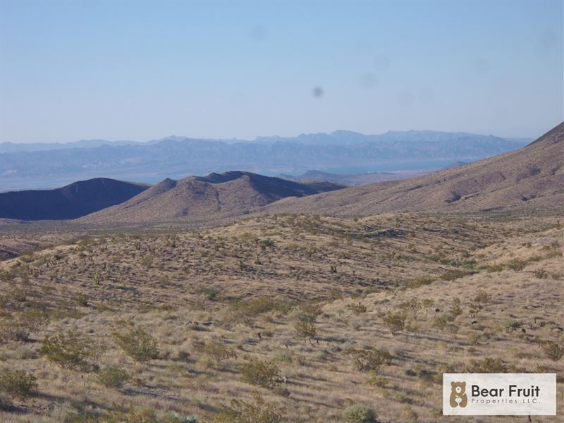 Million-Dollar Lake Views : Temple Bar Marina : Mohave County : Arizona