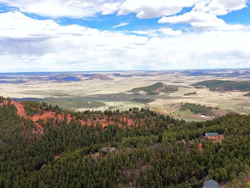 Firedog Way 1 : Larkspur : Douglas County : Colorado