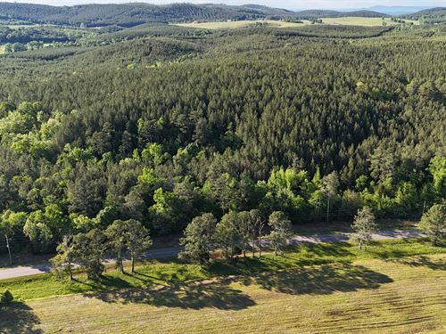 Rock Run Ridge : Piedmont : Cherokee County : Alabama