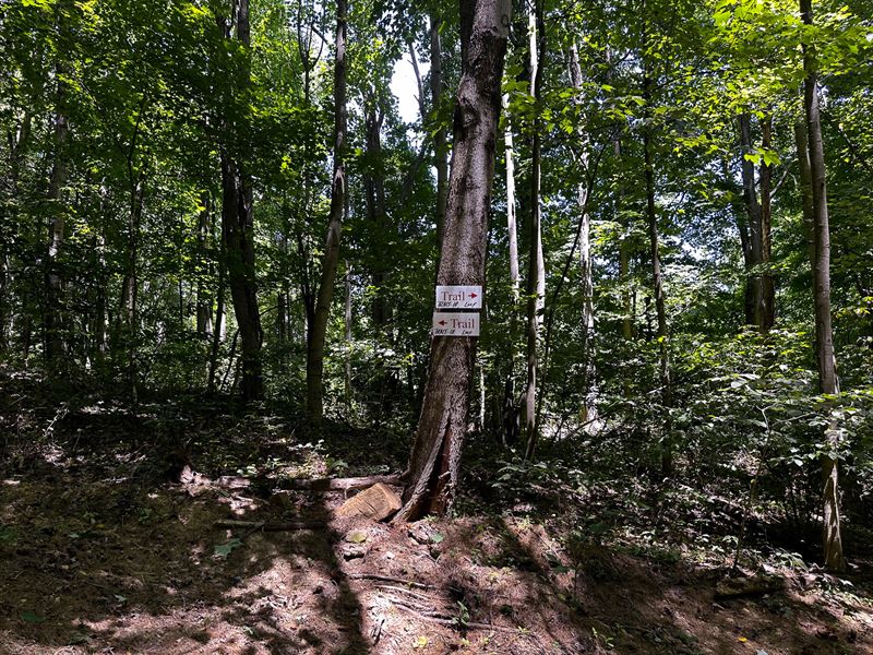 Tract 10 at The Woods at Titus : Langsville : Jackson County : Ohio
