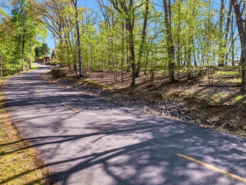 Dockable Cherokee Lakefront Lot : Mooresburg : Hawkins County : Tennessee