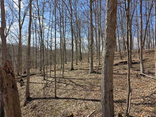 Big Timber Ridge, Phase II Tract 5 : Vinton : Meigs County : Ohio