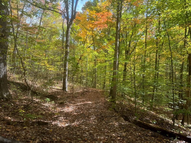 Tract 5 at Shawnee Woods : Corning : Perry County : Ohio