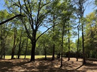 Countryside Homesite Opportunity : Booth : Autauga County : Alabama