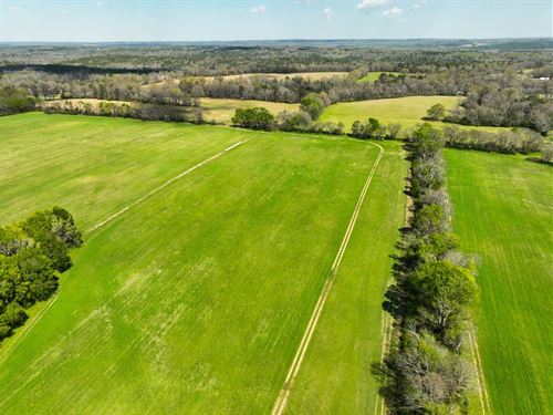 Countryside Homesite Opportunity : Booth : Autauga County : Alabama
