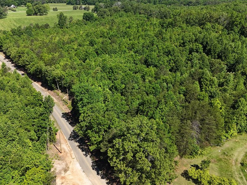 Lot 3 Gaylesville : Gaylesville : Cherokee County : Alabama