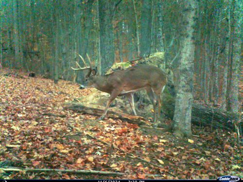 Tract 1, Pike Lake Getaway : Bainbridge : Pike County : Ohio