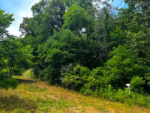 Tract 2, Albany Woods : Albany : Meigs County : Ohio