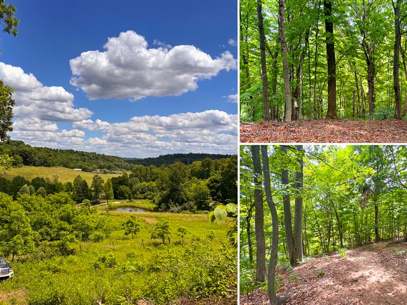 Tract 2, Albany Woods : Albany : Meigs County : Ohio