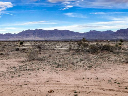 Nature's Paradise Awaits : Deming : Luna County : New Mexico