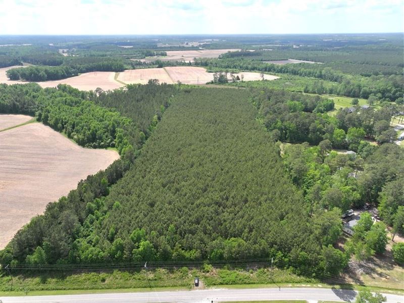 17.19 Acres of Residential, Recreat : Williamston : Martin County : North Carolina
