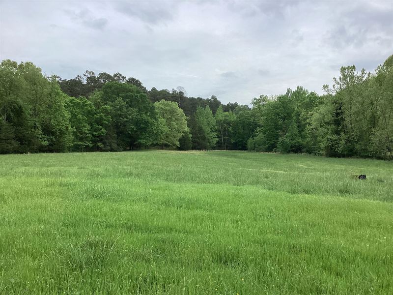 10 Acres in Montgomery County, AR : Oden : Montgomery County : Arkansas