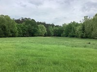10 Acres in Montgomery County, AR : Oden : Montgomery County : Arkansas