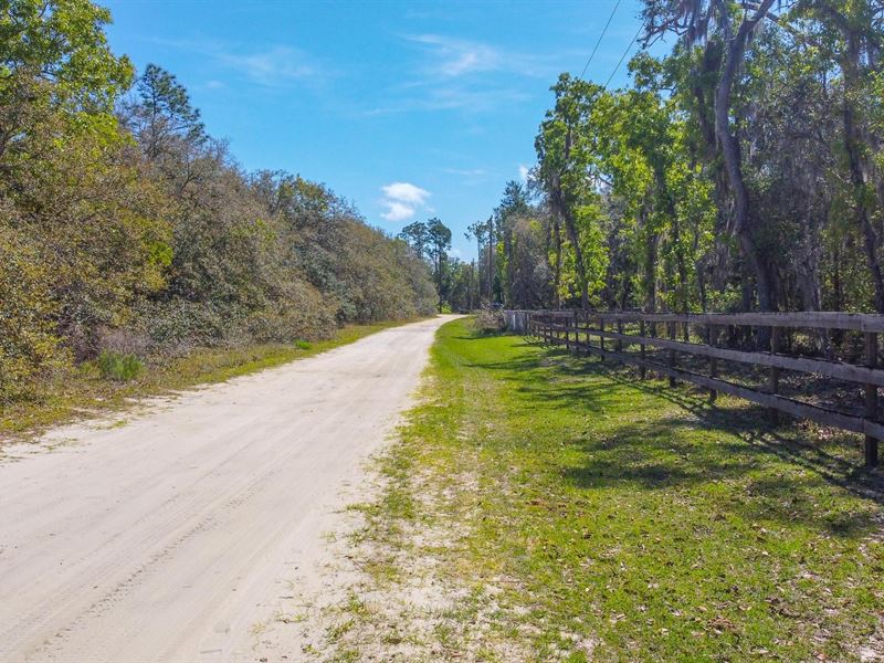 Escape The Noise Affordable Land : Interlachen : Putnam County : Florida