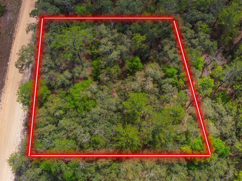 Own Florida Land for Just $499 Down : Interlachen : Putnam County : Florida