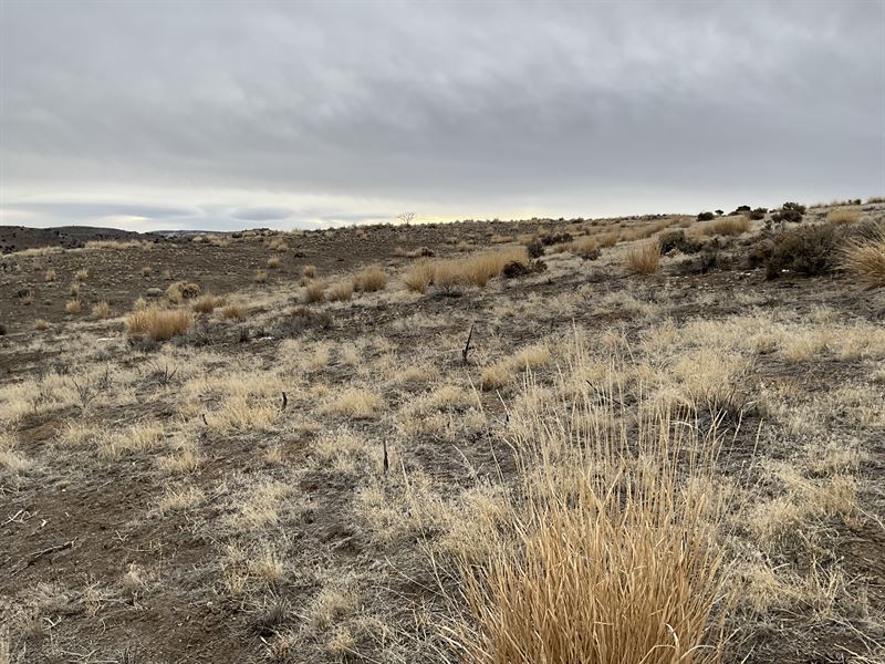 Your 1.13 Acres, Elko, Nv, $100/Mo : Elko : Elko County : Nevada