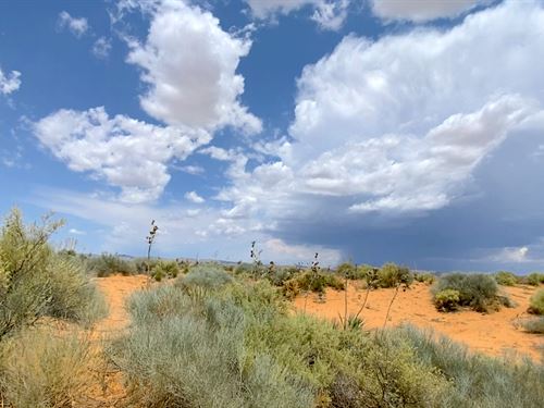 Invest in El Paso & Fight Inflation : El Paso : Texas