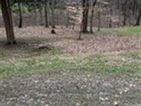 Build Dream Home, 1.16 Acres : Delaware : Ohio