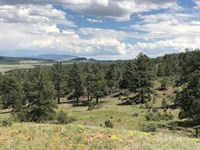 Hartsel Ranch : Hartsel : Park County : Colorado