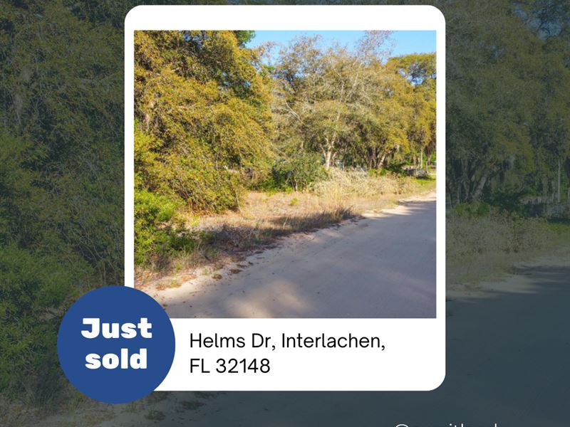 Own Peaceful Florida Lot with Pond : Interlachen : Putnam County : Florida