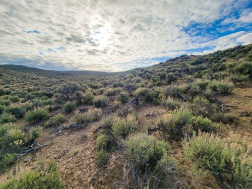 Calling All Adventure Seekers : Elko : Nevada