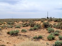 .50 Acre in Valencia County, NM : Madrone : Valencia County : New Mexico
