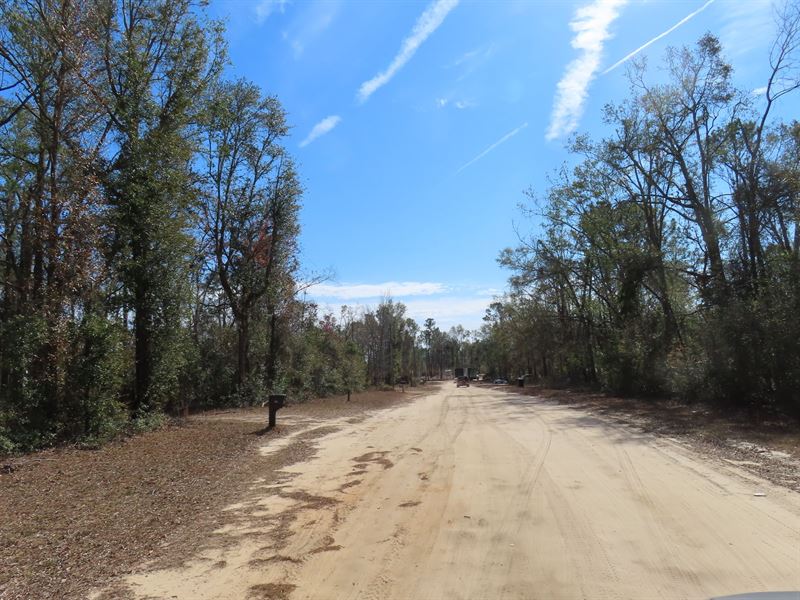 This is it 8.2 Acres of Land : Jennings : Hamilton County : Florida