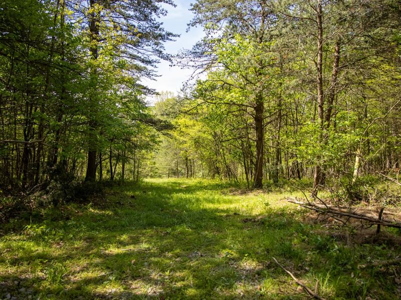 TR 262A, 11 Acres, Perry County : New Lexington : Perry County : Ohio