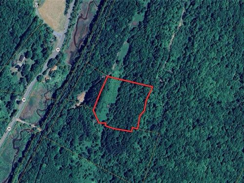 Secluded Property in Roxbury : Roxbury : Delaware County : New York