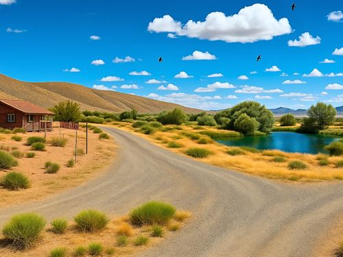 City Stress Kills. 0.45 Acres Heals : Kingston : Lander County : Nevada