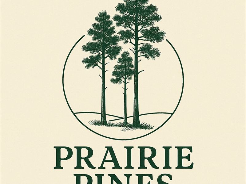 15 Acres, T-1, Round Prairie Road : Huntsville : Walker County : Texas