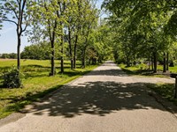 Sheehy Lot 2 : Paris : Edgar County : Illinois