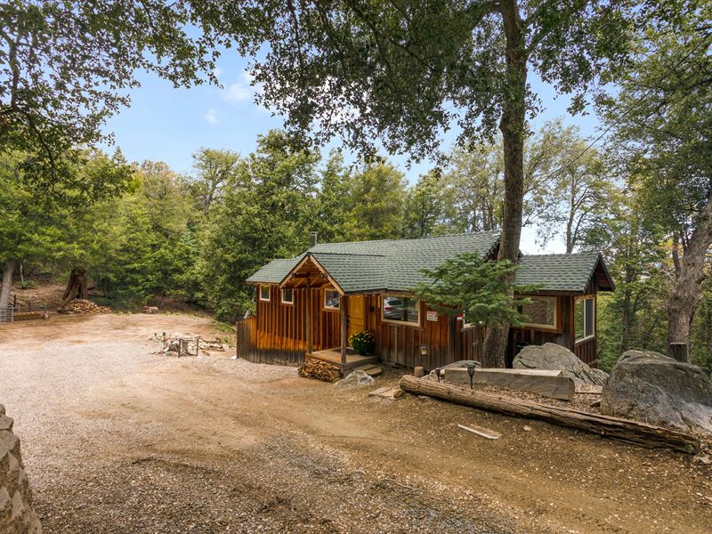 The Treehouse Lookout : Palomar Mountain : San Diego County : California