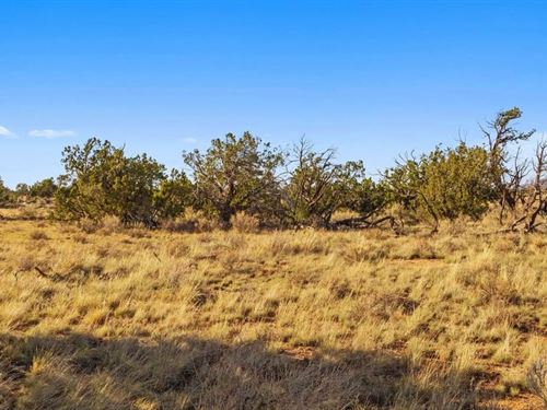 Dream Corner Lot at $175-$350/Mo : Williams : Coconino County : Arizona