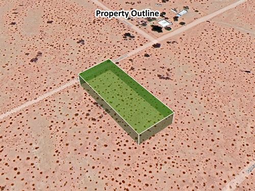 1 Acre Desert Oasis in Yuma, AZ : Dateland : Yuma County : Arizona