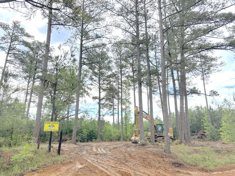 Spay Road 13 Tract : McCool : Choctaw County : Mississippi