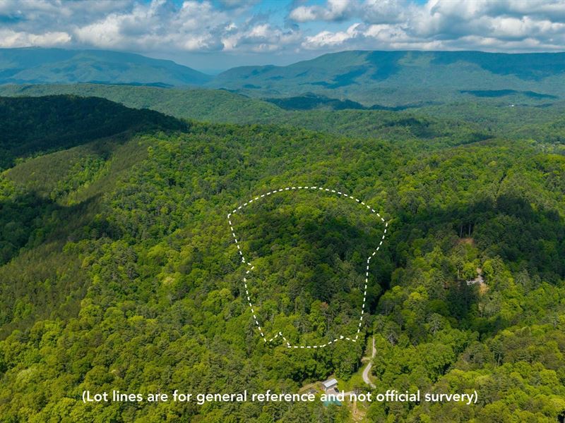 Rare Opportunity in Towee Mtn : Reliance : Polk County : Tennessee