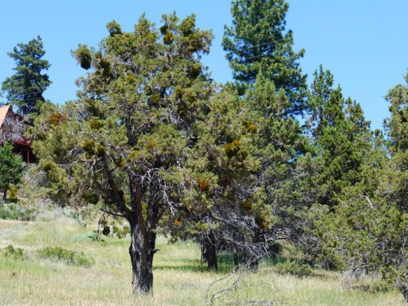 2.30 Acre in Klamath County, OR : Bonanza : Klamath County : Oregon