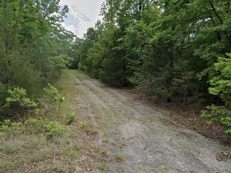 This AR Lot Wants You. $99 : Horseshoe Bend : Izard County : Arkansas