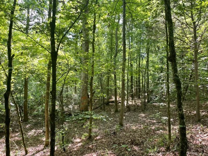 16.2 On Lincoln Road Lot 4 : Gray Court : Laurens County : South Carolina