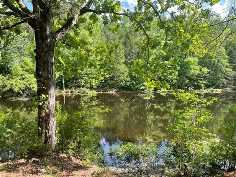 14.27 Acres On 3864 Lincoln Roa : Gray Court : Laurens County : South Carolina